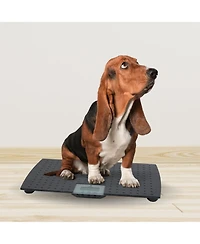 Redmon Pet Partners Large Non-Skid Rubber Precision Digital Pet Weight Scale
