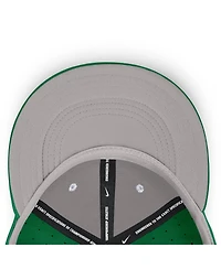 Nike Men's Green Iowa Hawkeyes Dugout True Dri-fit Fitted Hat