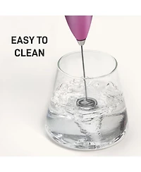 Handheld High Powered Double Whisk Milk Frother