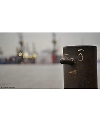 Schneider Kreuznach 4X5.65 Classic Nd 1.8