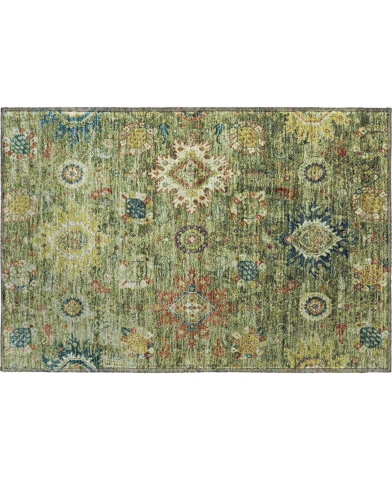 Addison Mayfield AMF1927 1'8"x2'6" Area Rug