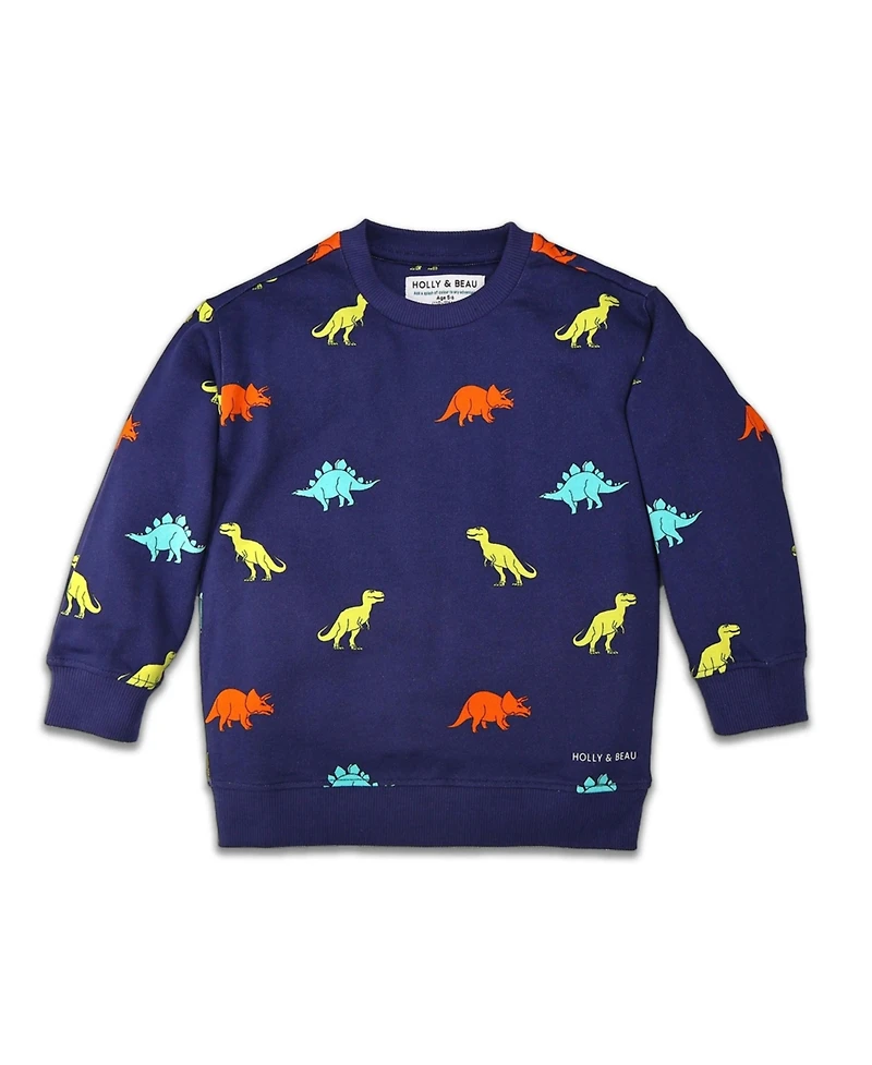 Holly and Beau Boys Dinosaur Cotton Crew Neck Sweatshirt
