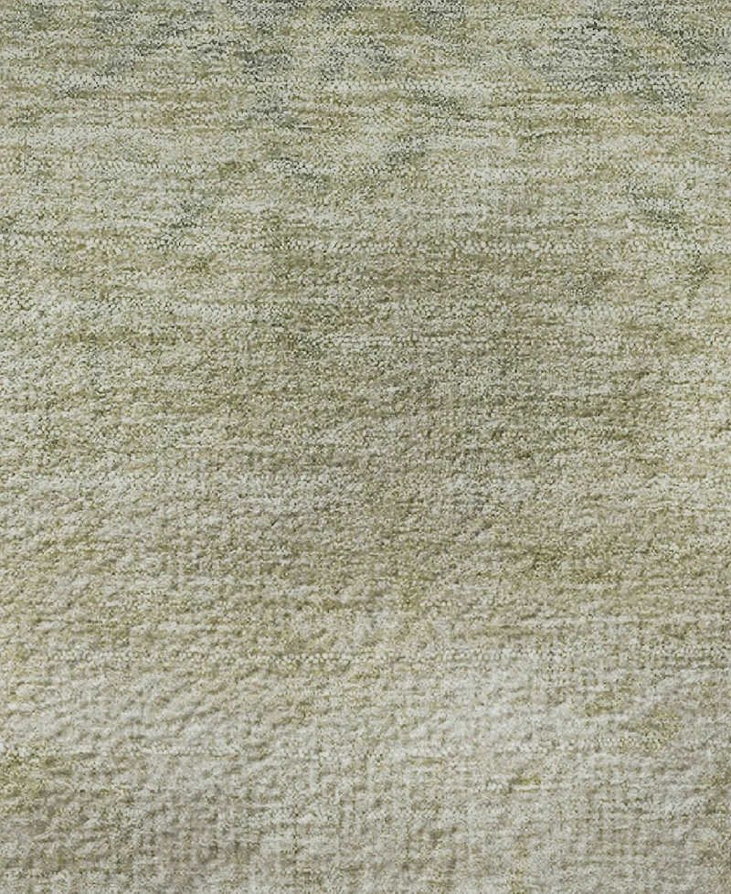 Addison Mayfield AMF1959 3'x5' Area Rug