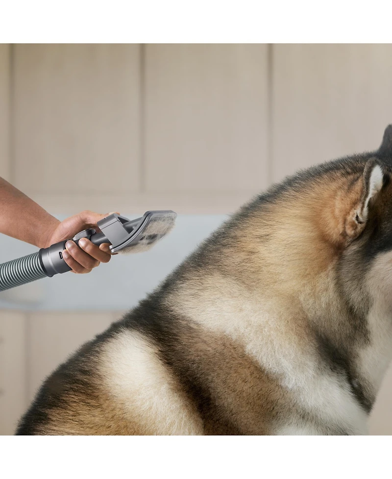 Dyson Pet Grooming Kit for Dyson Cordless Vacuums