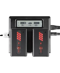 Shape Bp-u Dual Lcd Charger with 2x Bp-U65 Lithium-ion Batteries