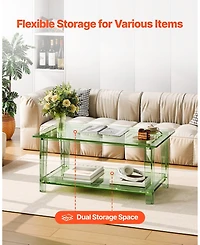 Gouun Transparent Acrylic 2-Tier Coffee Table with Storage Shelf