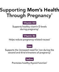 Theralogix TheraNatal Complete Prenatal Vitamin Supplement -91-Day Supply - With Dha, Vitamin D3, Folate, Iodine, Choline, Iron & More