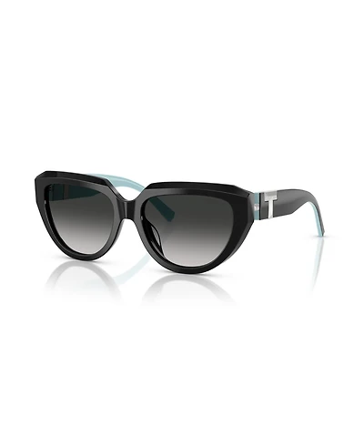 Tiffany & Co. Women's Sunglasses, TF4238U