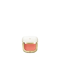 Dolce&Gabbana Cheeks & Eyes Match Blush Eyeshadow Powder