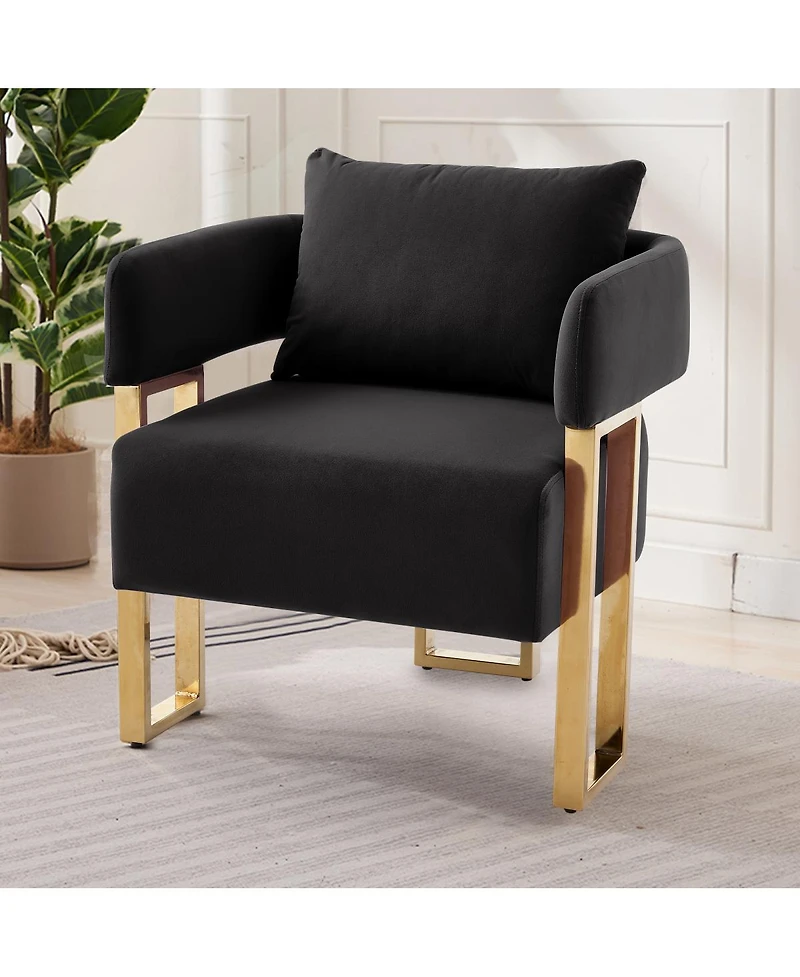 Streamdale Furniture Modern decorative chair with gold legs, velvet fleece upholstered, 2 piece