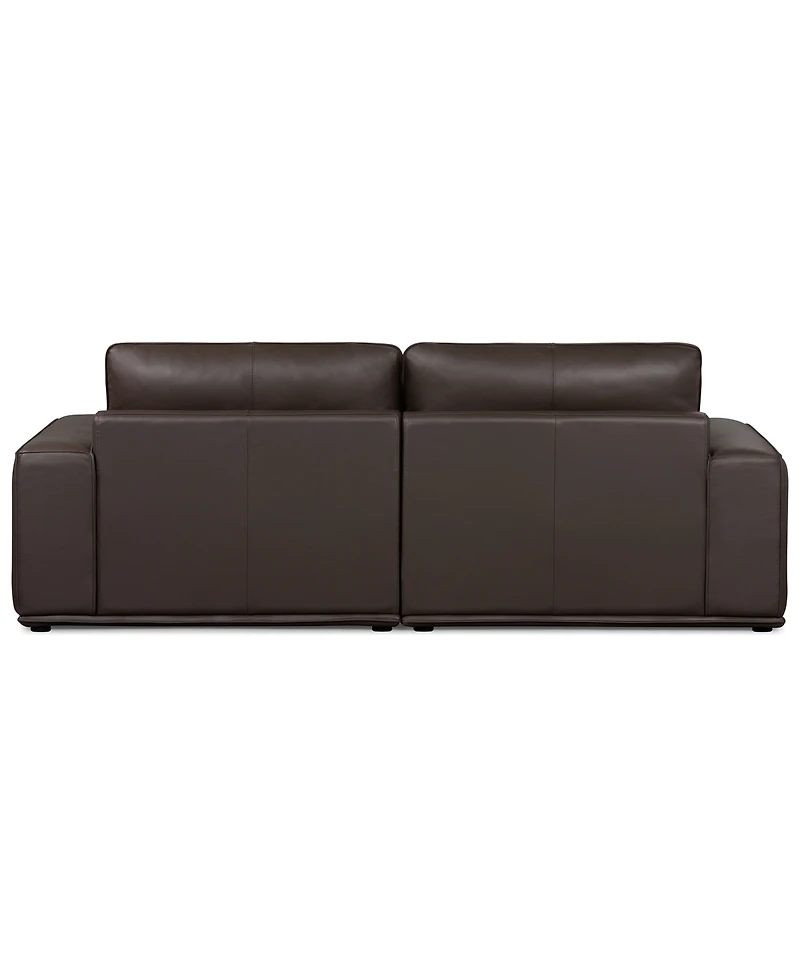Paitlyn 2-Piece Leather Sofa