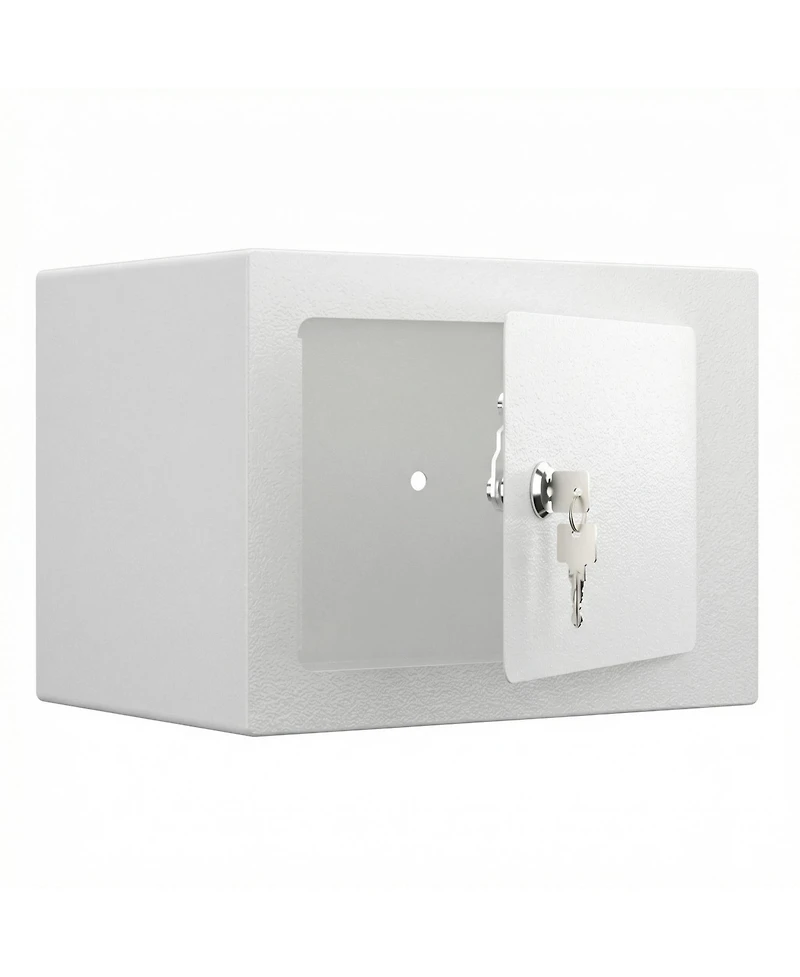 Clihome Mini Storage Cabinet Secure Safe With Key and Password for Home Use