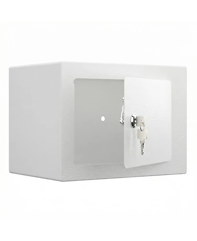 Clihome Mini Storage Cabinet Secure Safe With Key and Password for Home Use