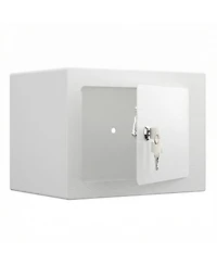 Clihome Mini Storage Cabinet Secure Safe With Key and Password for Home Use