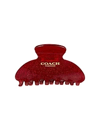 Free hair clip with a $124 Coach women's fragrance purchase