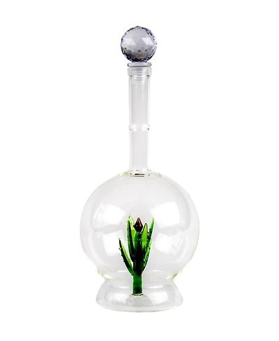 The Wine Savant Aloe Plant Shaped 25 oz. Tequila Decanter