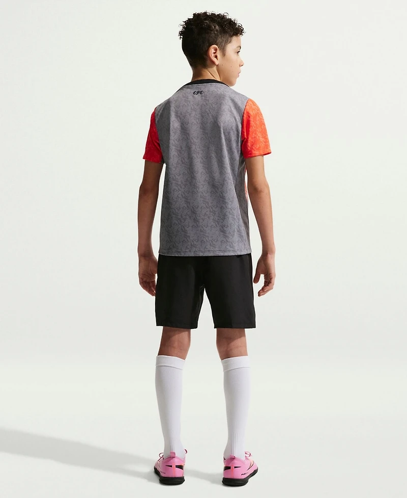 Nike Big Boys and Girls Gray Chelsea 2025/26 Academy Pro Pre-Match Top