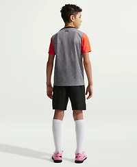 Nike Big Boys and Girls Gray Chelsea 2025/26 Academy Pro Pre-Match Top