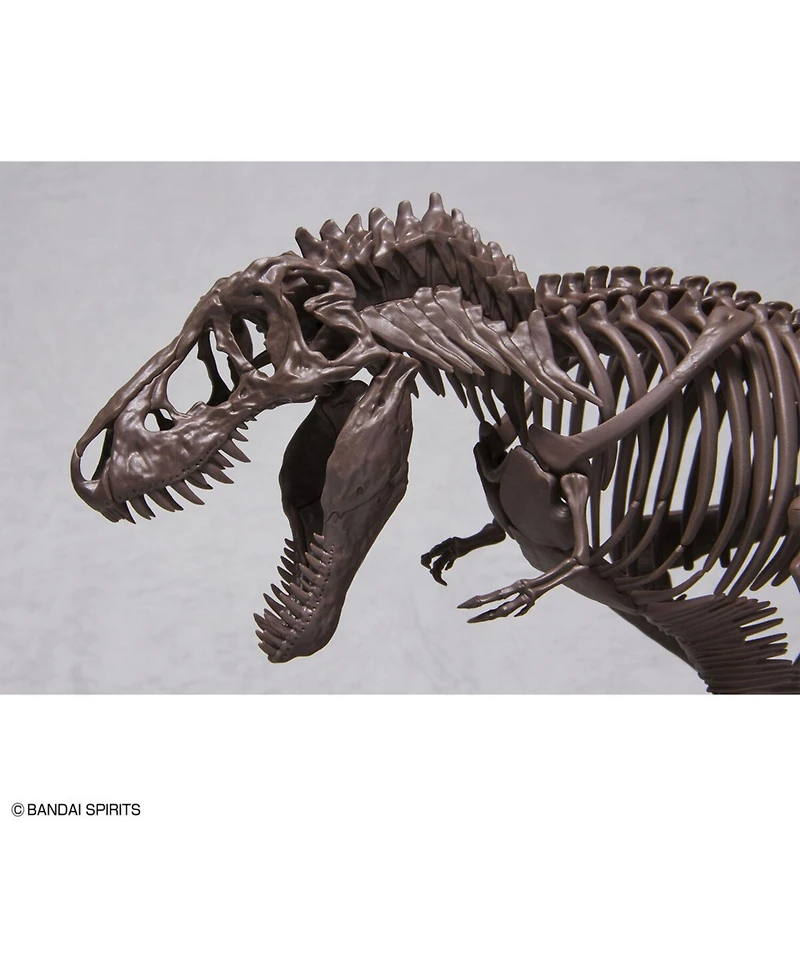 Bandai Hobby - Imaginary Skeleton