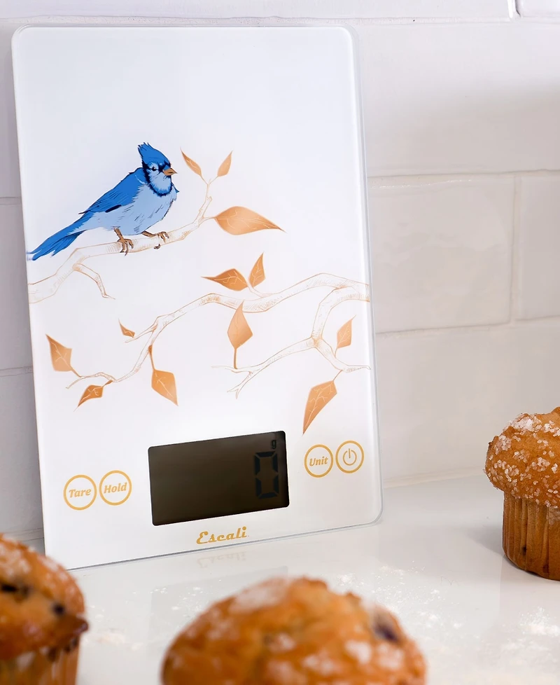 Escali Arti Blue Jay Glass 9" Digital Food Scale