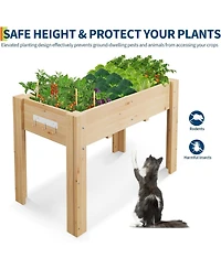 Xo 67" Tall Wooden Raised Garden Bed with Trellis and Roof, Elevated Planter Box for Climbing Plants, Patio, Balcony