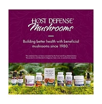 Host Defense MycoBotanicals Microbiome Powder - Digestive & Immune Health Support Supplement
