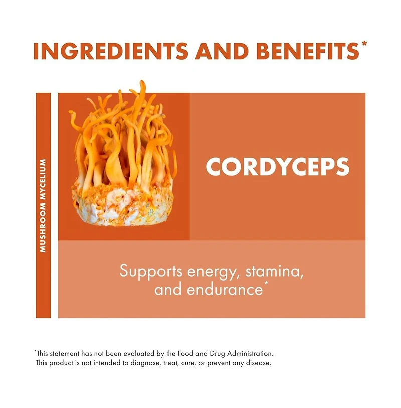 Host Defense Cordyceps Powder - Immune & Energy Support Supplement - Kidney Health Supplement with Cordyceps