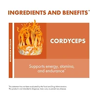 Host Defense Cordyceps Capsules - Immune & Energy Support Supplement