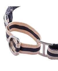 Pet Passion Remy Ii The Ribbon Martingale
