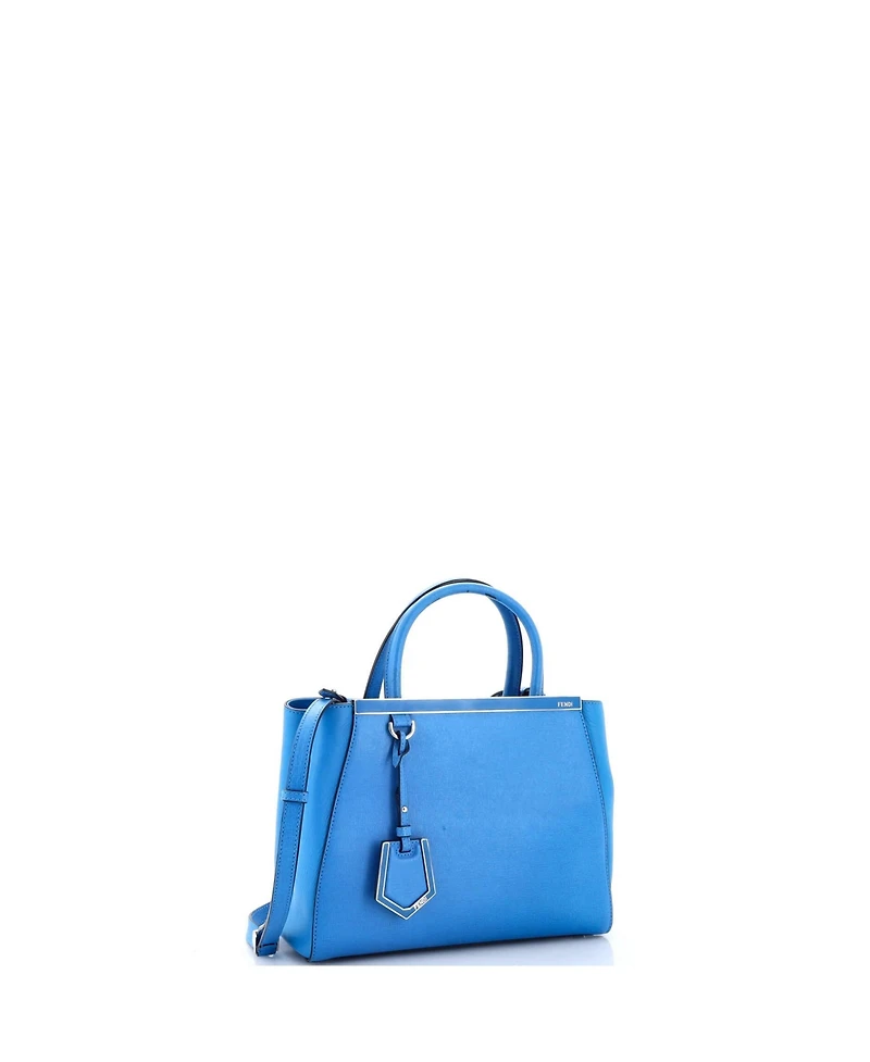 Pre-Owned Fendi Petite 2Jours Bag Leather