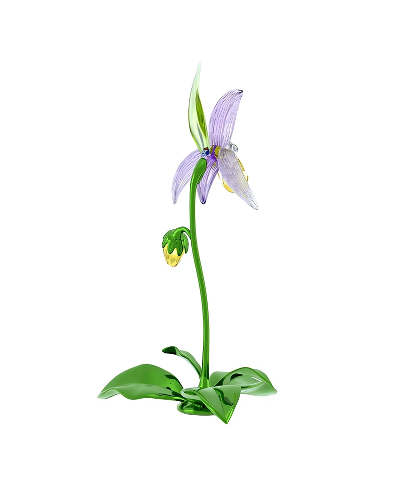 Swarovski Florere Lady Slipper Orchid Crystal Figurine