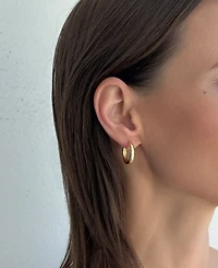 Adornia Gold Cubic Zirconia Hoop Earring 2-Piece Set