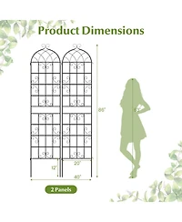 Gouun 2-Pack 86-Inch Metal Garden Trellis for Climbing Plants