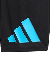 adidas Boys' 8-16 Short-Sleeve T-Shirt and Shorts