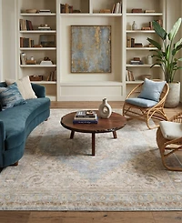 Amer Rugs Century Cen-11 Gray/Ivory 5'3" x 7'3" Area Rug