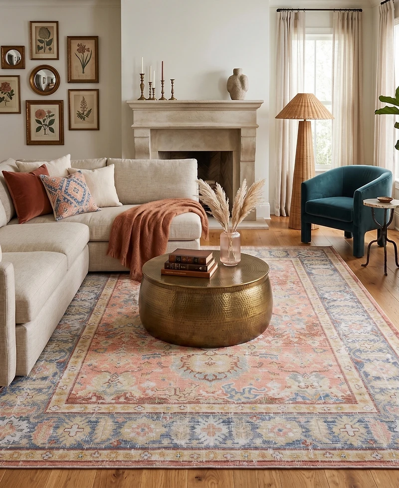 Amer Rugs Century Cen-16 Coral 3'11" x 5'11" Area Rug