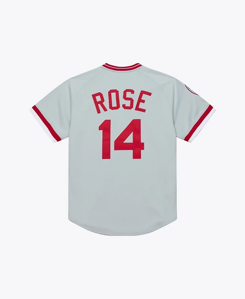 Mitchell & Ness Men's Pete Rose Gray Cincinnati Reds 1976 Authentic Jersey