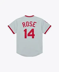 Mitchell & Ness Men's Pete Rose Gray Cincinnati Reds 1976 Authentic Jersey