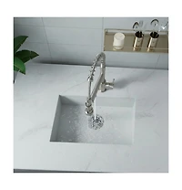 Phying Kitchen Faucet with Pull Down Sprayer