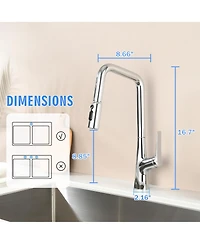 Phying Professional Chrome Kitchen Faucet