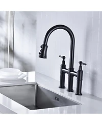 Phying Bridge Kitchen Faucet with Pull-Down Sprayhead in Spot