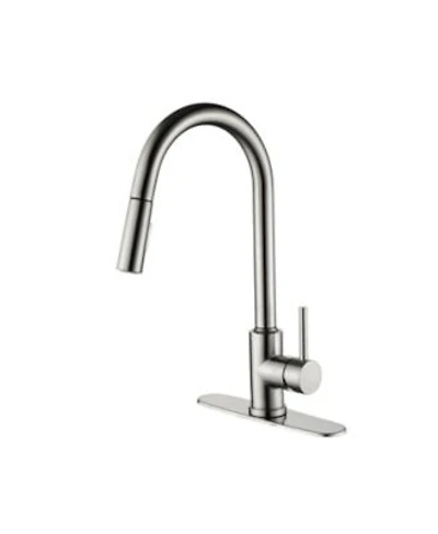 Phying Kitchen Faucet with Pull Down Sprayer