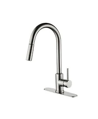 Phying Kitchen Faucet with Pull Down Sprayer