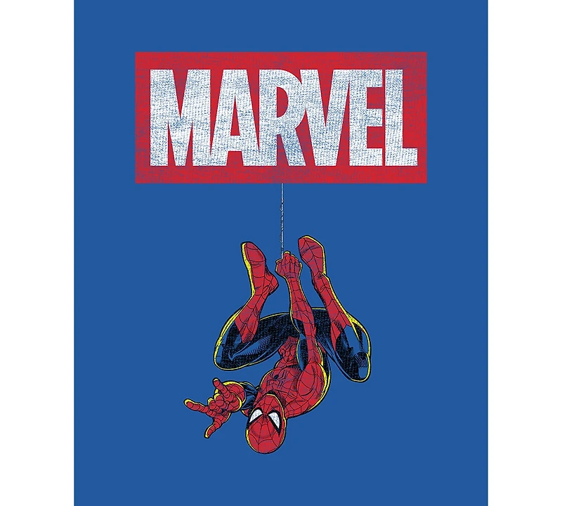 Hybrid Apparel Men's Spider-Man Graphic T-Shirt