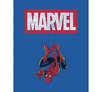 Hybrid Apparel Men's Spider-Man Graphic T-Shirt