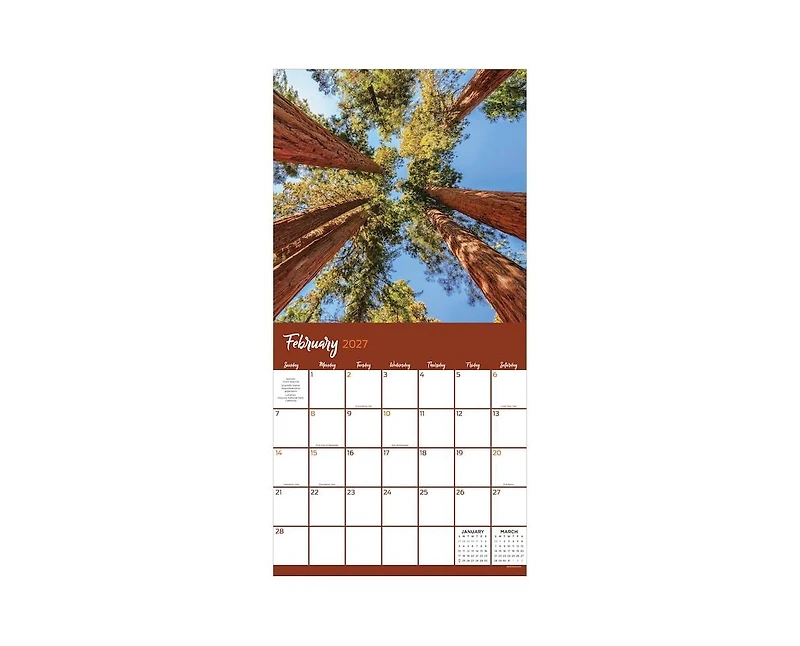 Tf Publishing Paper Goods 2027 Trees Wall Calendar