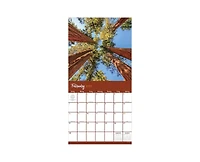 Tf Publishing Paper Goods 2027 Trees Wall Calendar