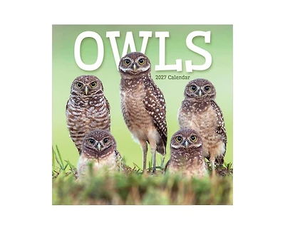 Tf Publishing Paper Goods 2027 Owls Wall Calendar