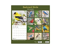 Tf Publishing Paper Goods 2027 Backyard Birds Wall Calendar