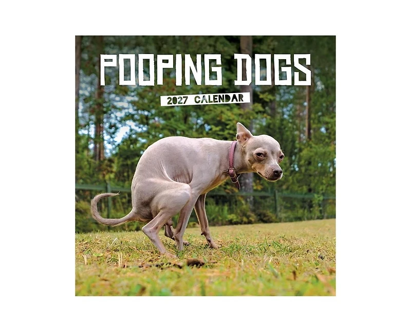 Tf Publishing Paper Goods 2027 Pooping Dogs Wall Calendar